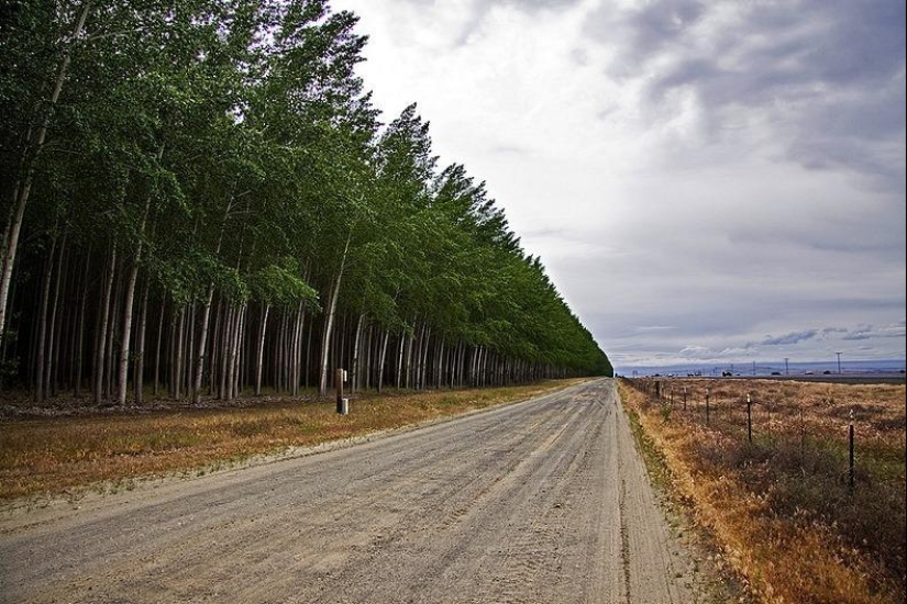 Cómo es una pintoresca granja forestal en Oregón