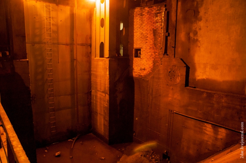 Cómo estamos siendo criados (en nombre de Troitsky)