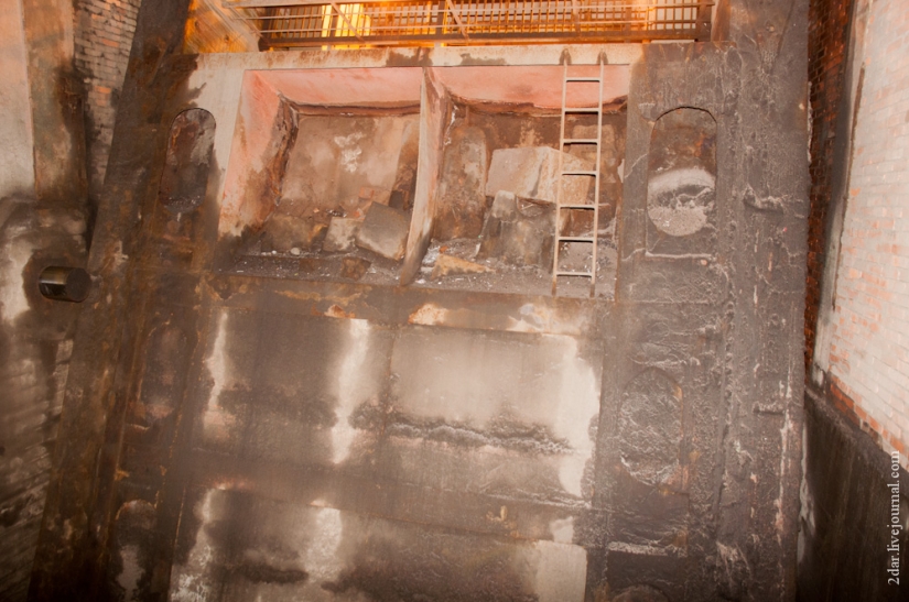 Cómo estamos siendo criados (en nombre de Troitsky)