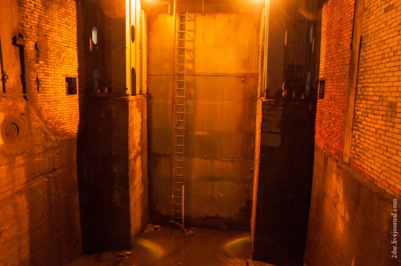 Cómo estamos siendo criados (en nombre de Troitsky)