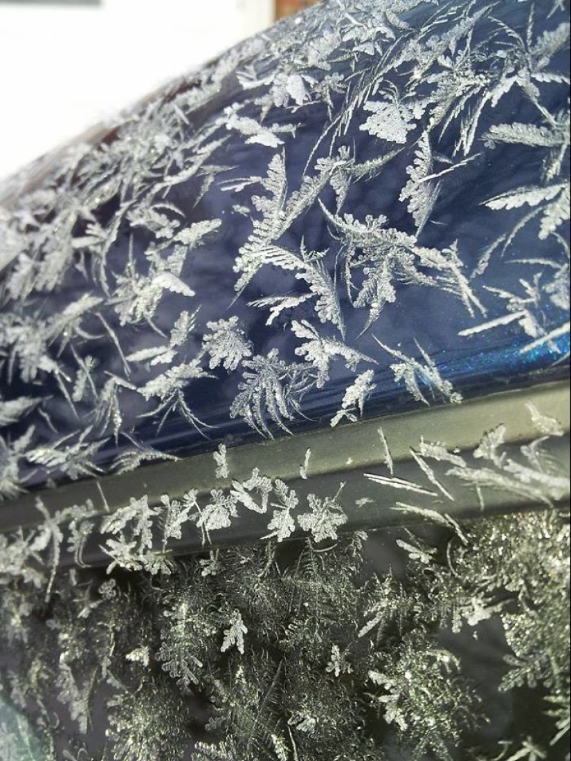 Cómo frost convierte los coches en objetos de arte