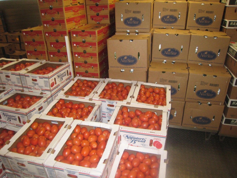 Cómo funciona el crucero más grande del mundo