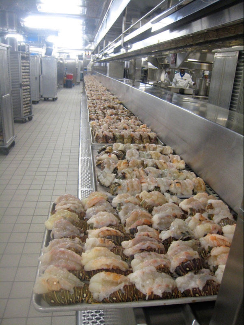 Cómo funciona el crucero más grande del mundo