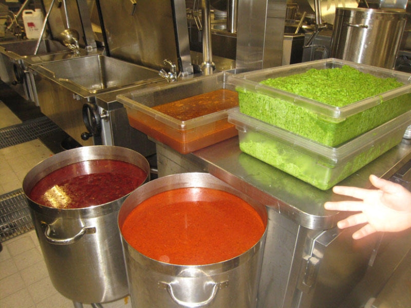 Cómo funciona el crucero más grande del mundo