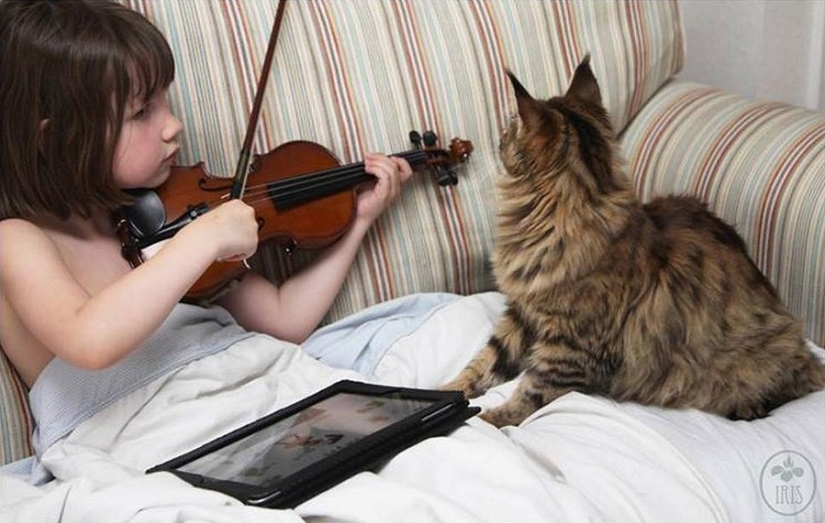 Cómo la gata Tula ayuda a una niña con autismo