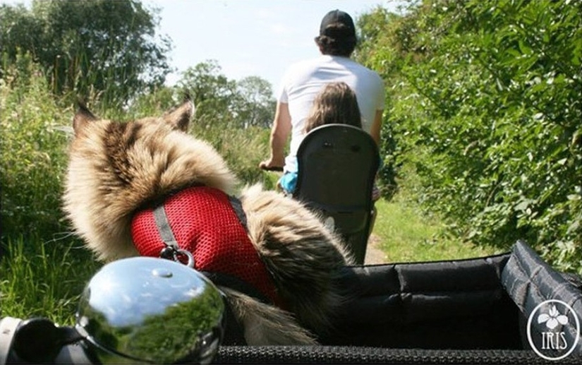 Cómo la gata Tula ayuda a una niña con autismo