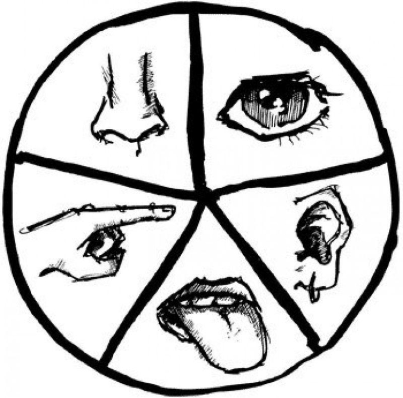 Cómo mantener la claridad mental durante mucho tiempo: 10 consejos simples