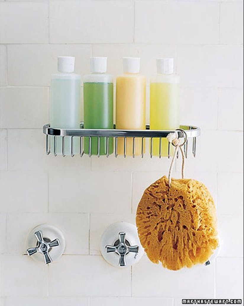 Cómo organizar correctamente tu vida