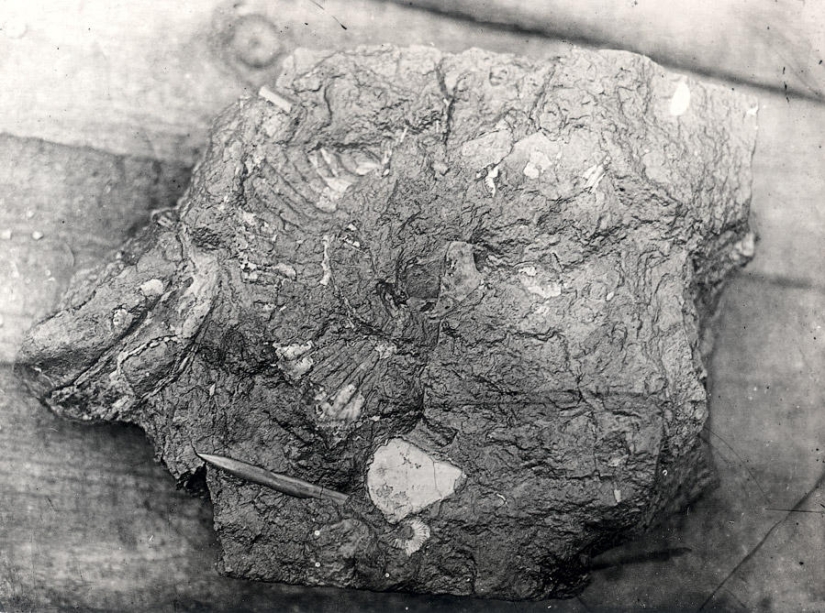 Cómo se construyó la primera etapa del Metro de Moscú Cómo se construyó la primera etapa del Metro de Moscú