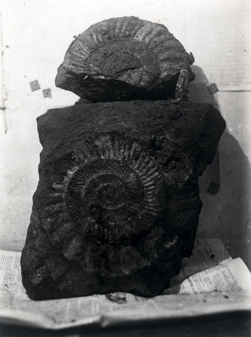 Cómo se construyó la primera etapa del Metro de Moscú Cómo se construyó la primera etapa del Metro de Moscú