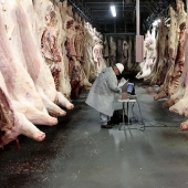 Cómo se hace la carne que comemos