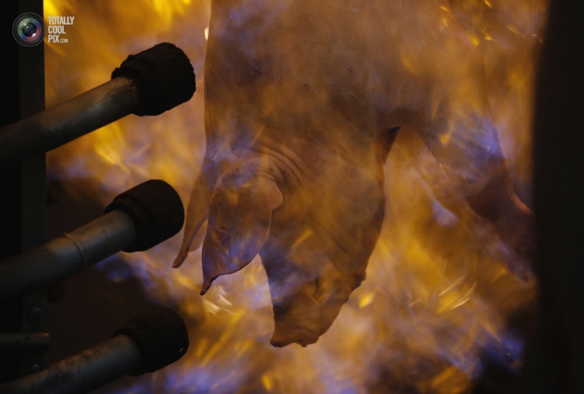 Cómo se hace la carne que comemos