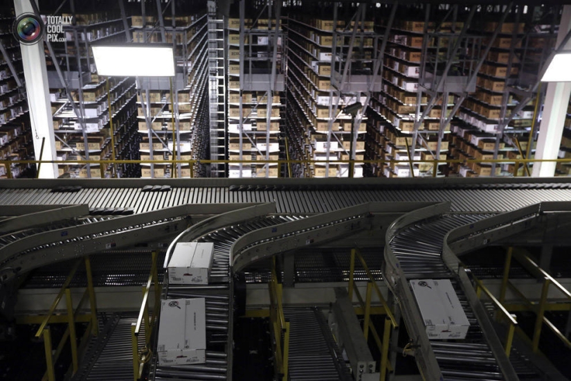 Cómo se hace la carne que comemos