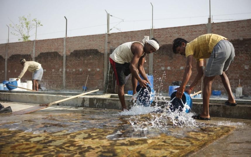 Cómo se hacen las alfombras en la India Cómo se hacen las alfombras en la India
