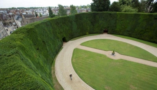 Cómo se podan los tejos de 300 años