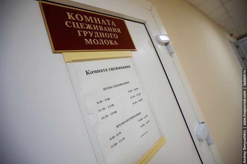 ¿Cómo se salvan los recién nacidos? Informe de cuidados intensivos pediátricos