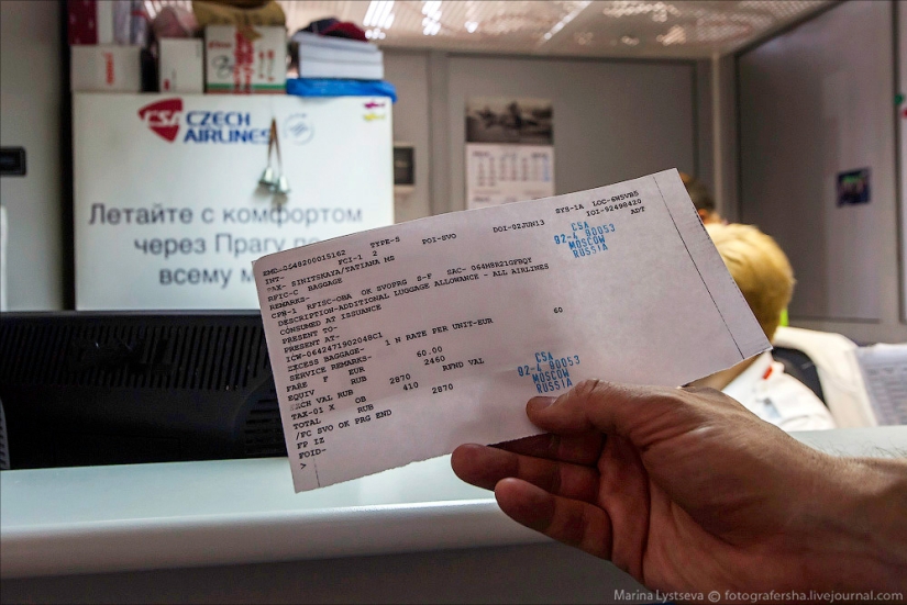 Cómo se transportan los animales en avión