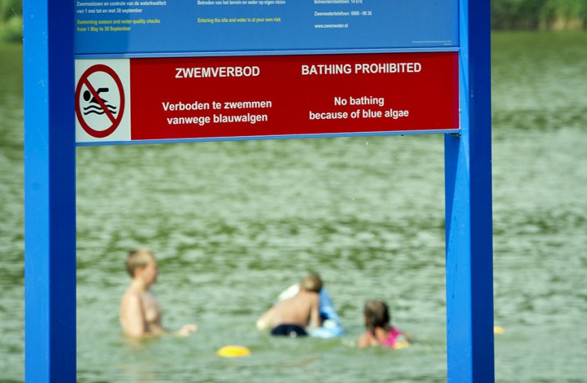 Cómo se ve la playa de Holanda a vista de pájaro