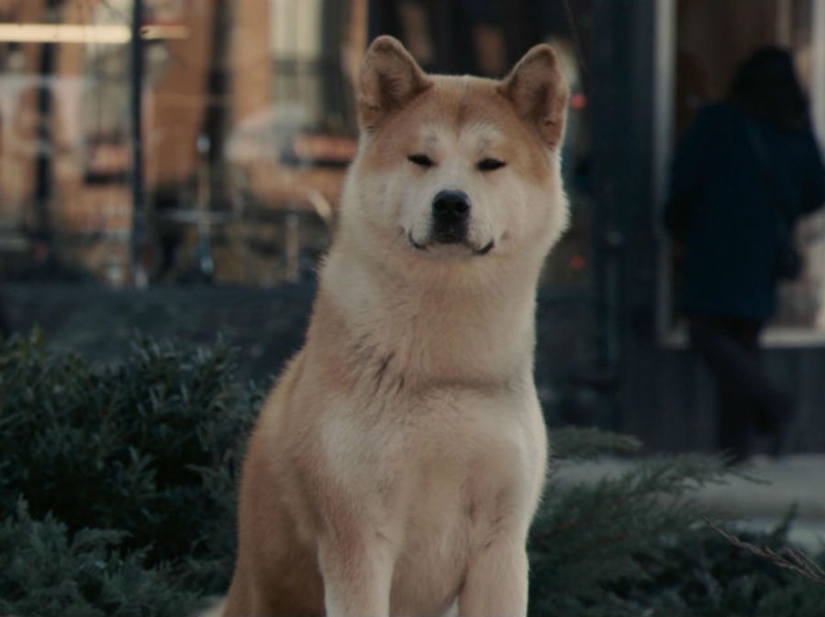 Cómo son los prototipos de personajes famosos de películas