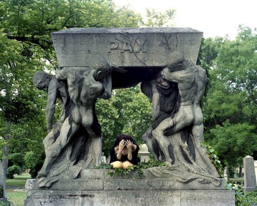 Cómo tomar fotografías de serpientes Cómo tomar fotografías de serpientes