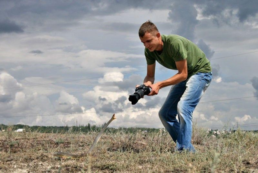 Cómo tomar fotografías de serpientes Cómo tomar fotografías de serpientes