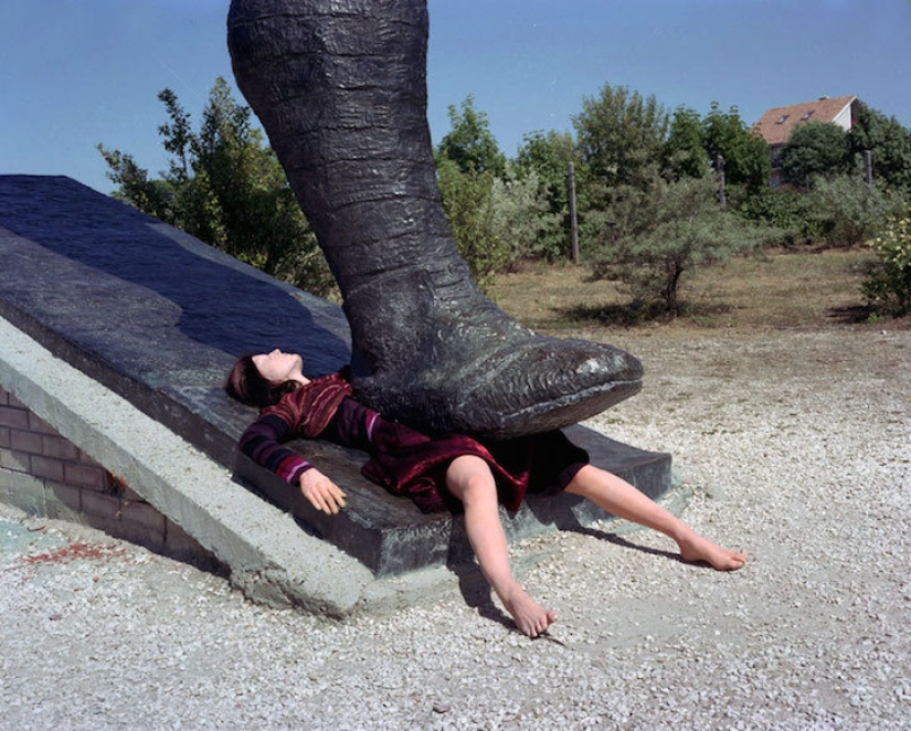 Cómo tomar fotografías de serpientes Cómo tomar fotografías de serpientes