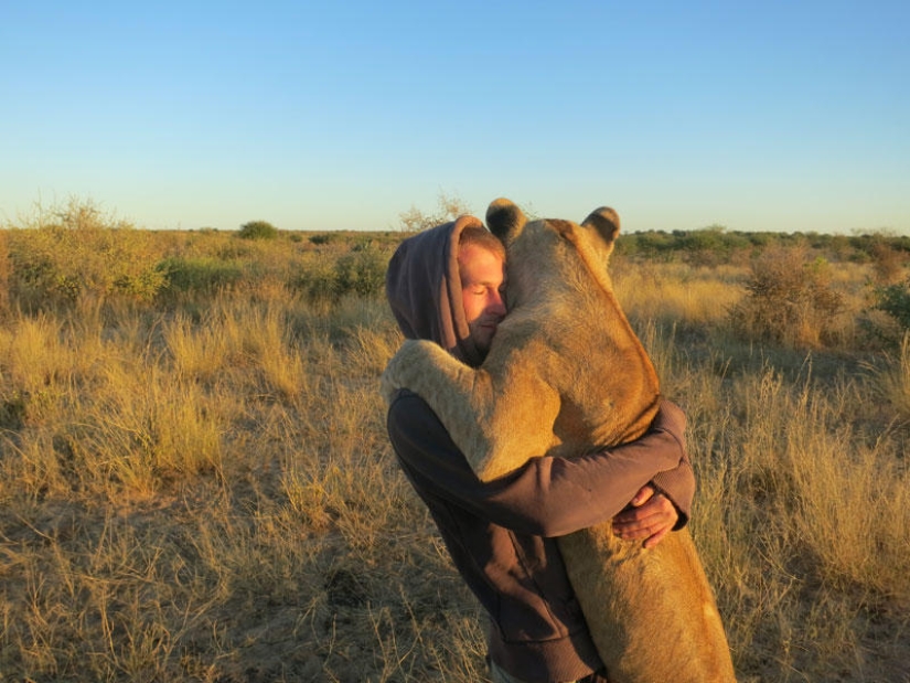 Cómo viví con leones en Botswana