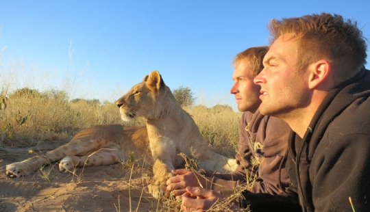 Cómo viví con leones en Botswana
