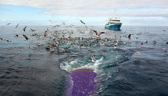 Cómo viven las comunidades pesqueras de los mares del norte