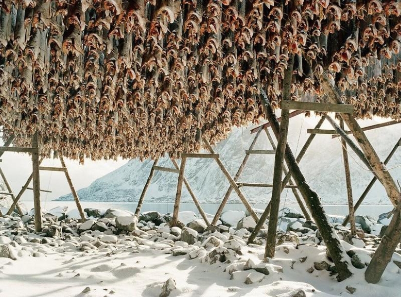 Cómo viven las comunidades pesqueras de los mares del norte