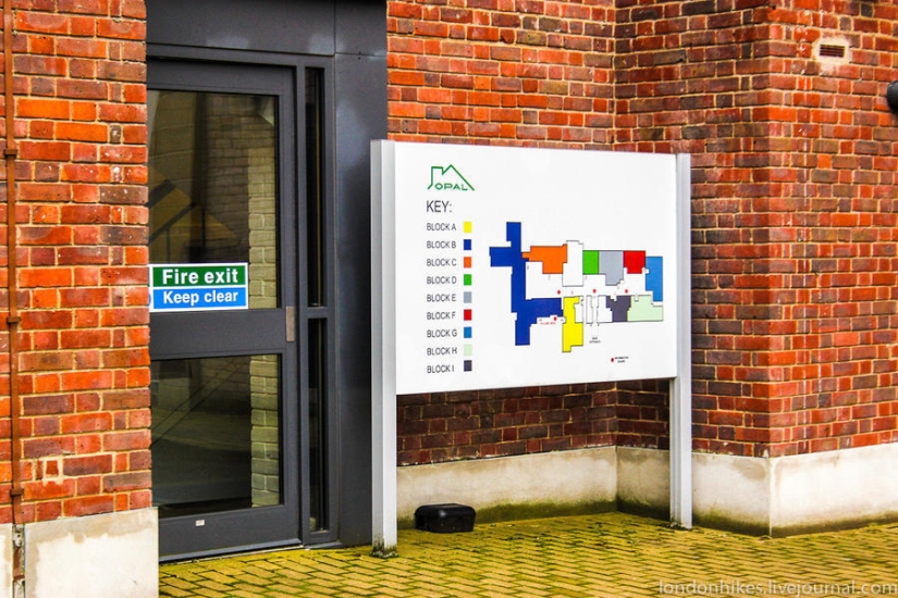 ¿Cómo viven los estudiantes en Londres?