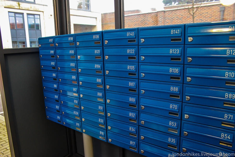 ¿Cómo viven los estudiantes en Londres?