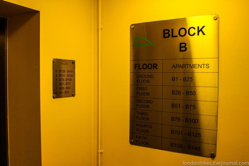 ¿Cómo viven los estudiantes en Londres?