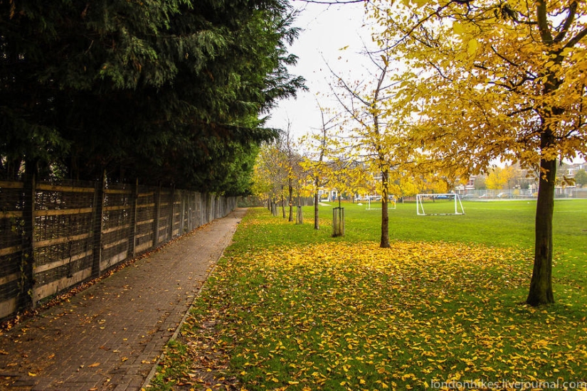 ¿Cómo viven los estudiantes en Londres?