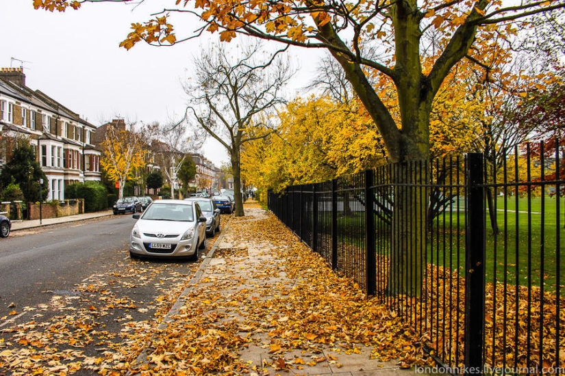 ¿Cómo viven los estudiantes en Londres?