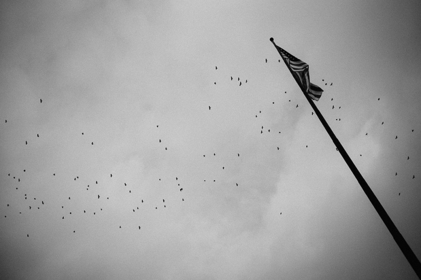 ¿Cómo viven los habitantes de los suburbios de Detroit?