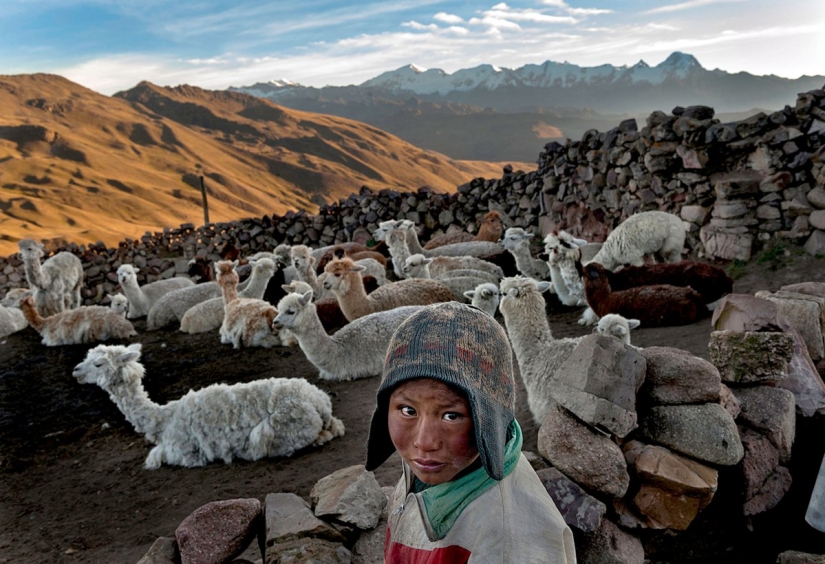 Cómo vivir con un dólar al día