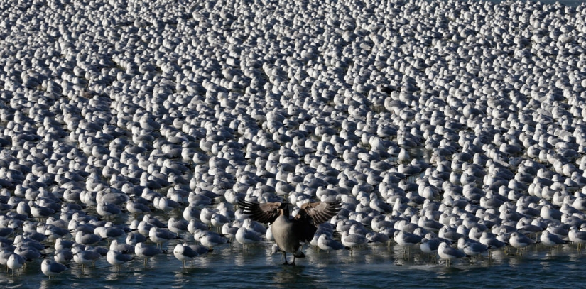 Coasts around the world in pictures