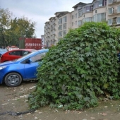 Coche zombie siniestro de China