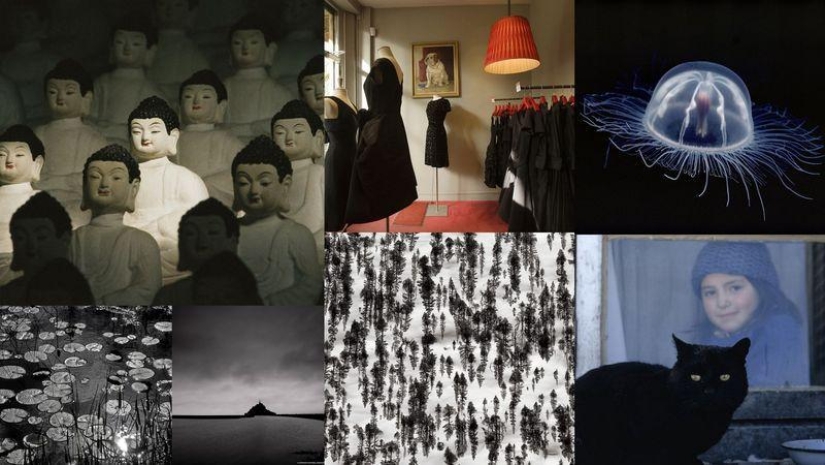 Colores: Negro Colores: Negro