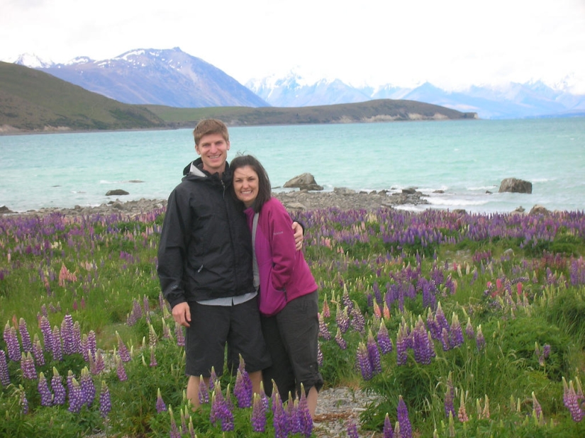 Colorful lupine bloom at Lake Tekapo
