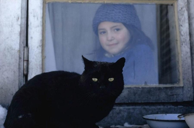 Colors: Black Colors: Black