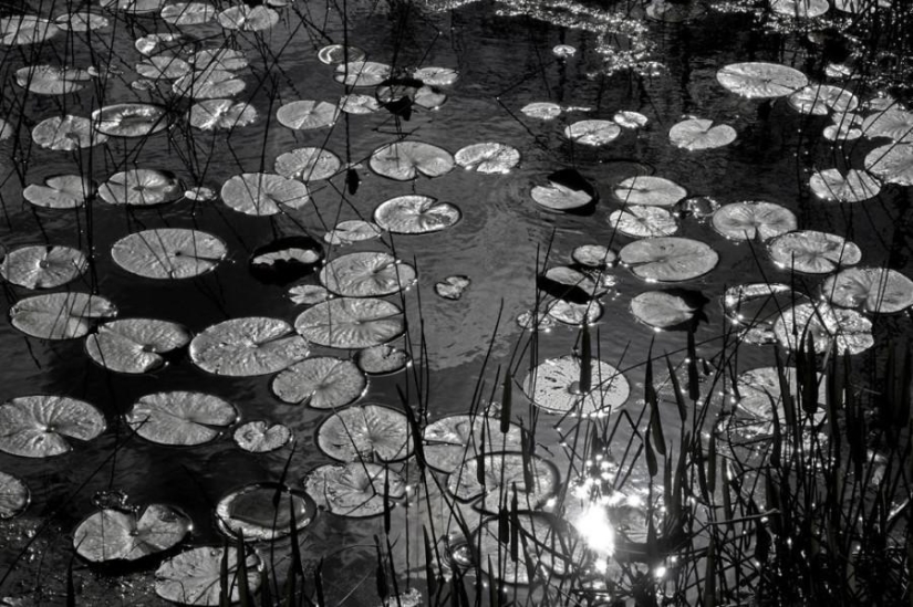 Colors: Black Colors: Black