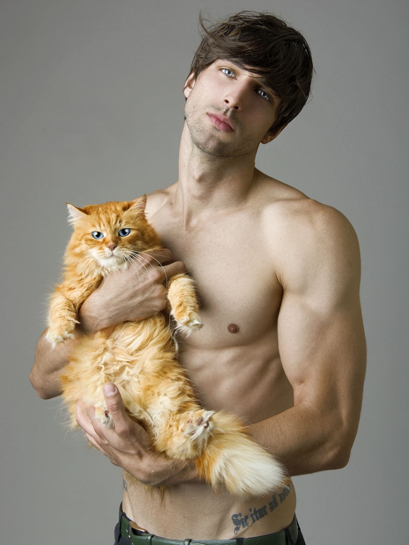 Combo effect: photographer takes hypnotizing pictures of half-naked beauties with cats