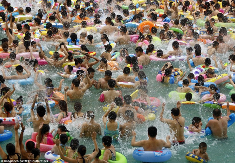 Como arenque en un barril: 10 mil chinos escapan del calor en la piscina más grande Como arenque en un barril: 10 mil chinos escapan del calor en la piscina más grande