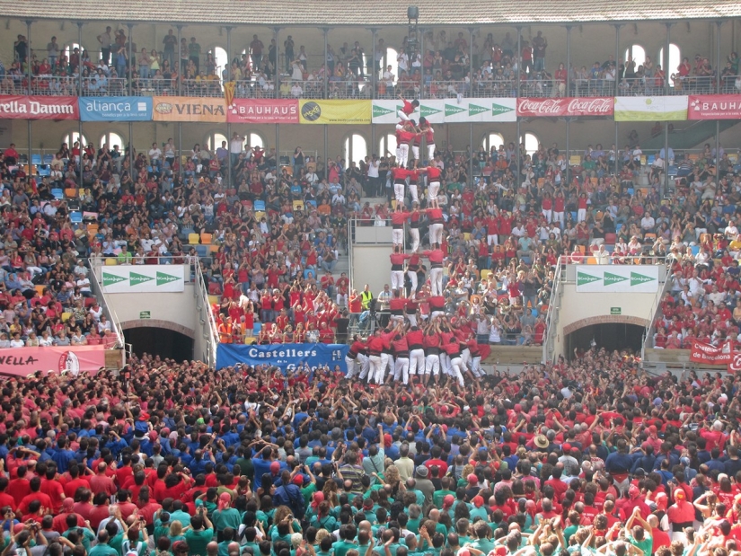 Competitions &quot;living towers&quot;