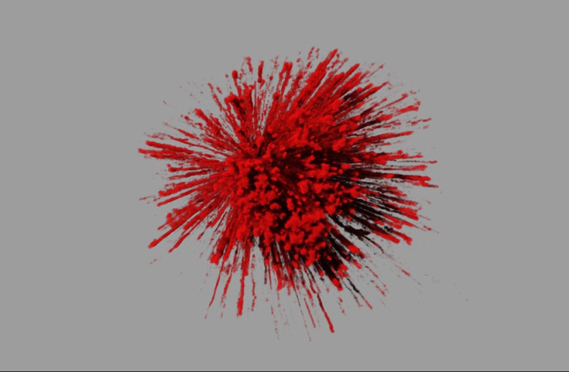 Concurso de fotomicrografía Nikon Small World 2013 Concurso de fotomicrografía Nikon Small World 2013