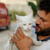 Conductor sirio rescata gatos abandonados