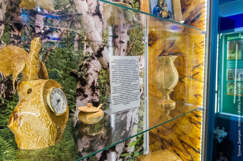 "Congelado, pero no congelado" - Cascada de Kivach en invierno