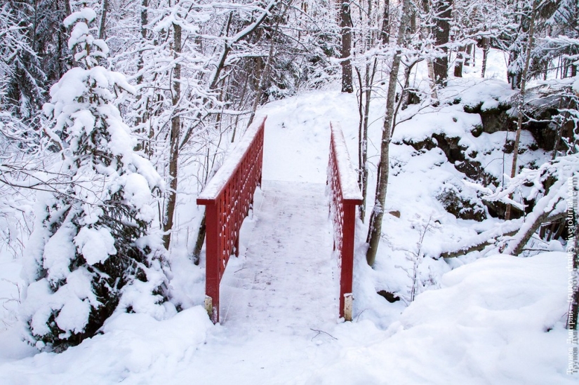 "Congelado, pero no congelado" - Cascada de Kivach en invierno